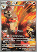 101-blaziken