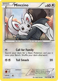 104-minccino
