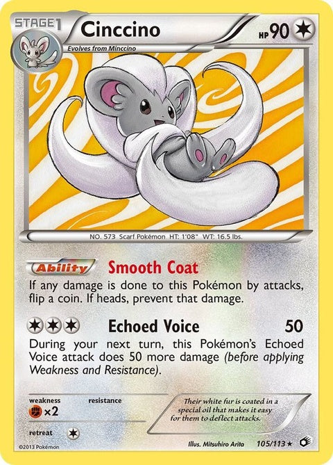 105-cinccino