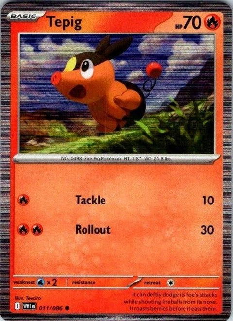 11-tepig