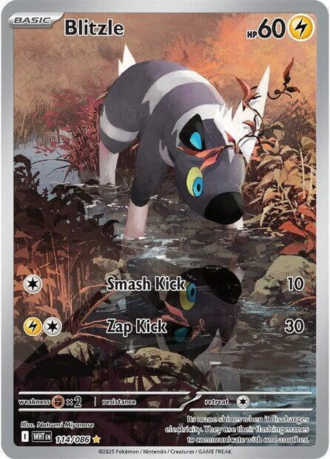 114-blitzle