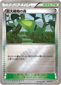 127-forestofgiantplants