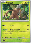 127-pinsir