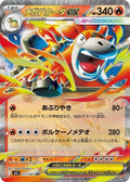 13-megacameruptex