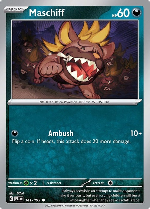 141-maschiff