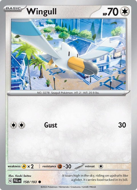 158-wingull