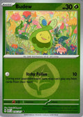 16-budew-energysymbolpattern