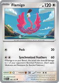 185-flamigo
