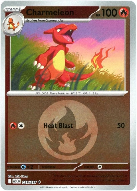 21-charmeleon-energysymbolpattern