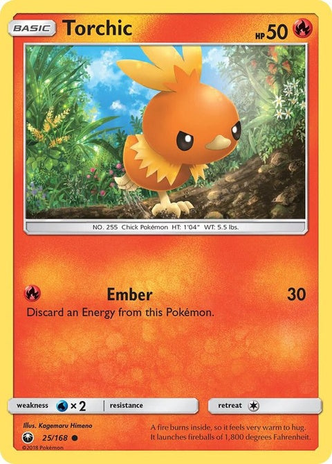 25-torchic