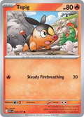 29-tepig