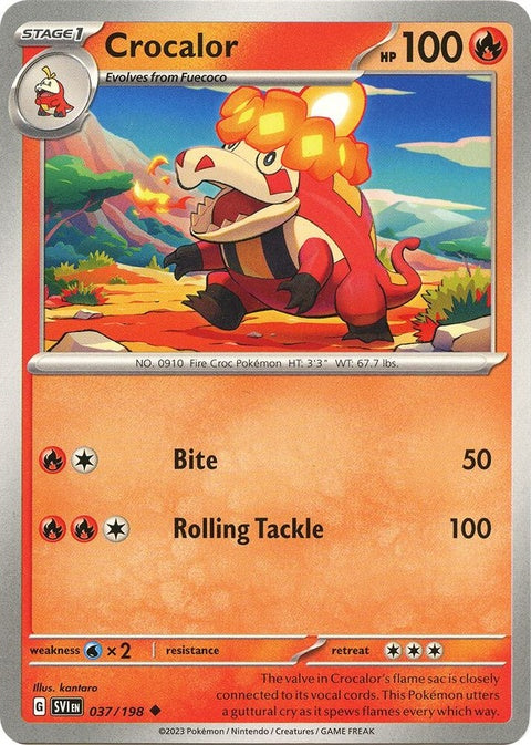 37-crocalor