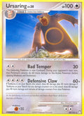 38-ursaring