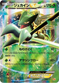 6-sceptileex