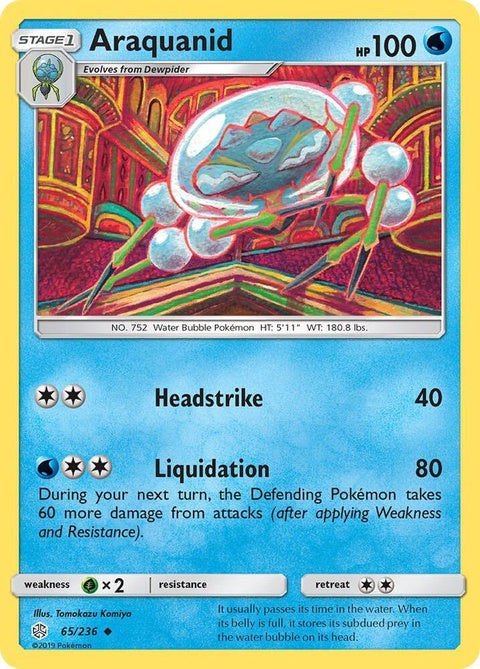 65-araquanid