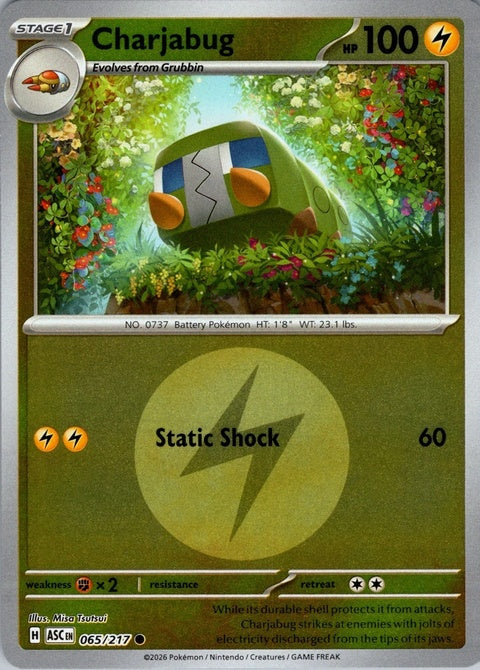 65-charjabug-energysymbolpattern