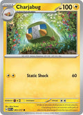 65-charjabug
