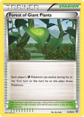 74-forestofgiantplants