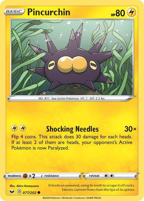 77-pincurchin