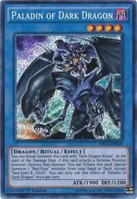 drl2-en018-paladinofdarkdragon