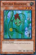 ha02-en041-naturiarosewhip
