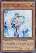 lc5d-en018-effectveiler