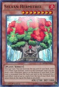 mp14-en201-sylvanhermitree
