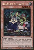 pgl2-en041-traptrixdionaea