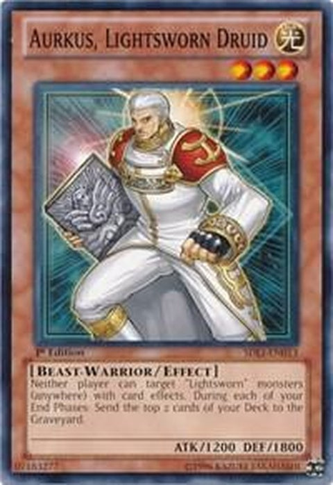 sdli-en013-aurkuslightsworndruid