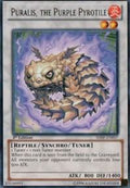 shsp-en057-puralisthepurplepyrotile