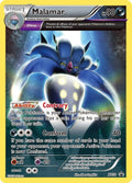 xy58-malamar